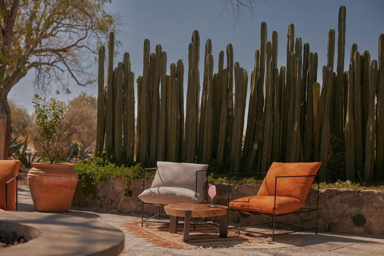 Our Habitas San Miguel De Allende Exterior photo