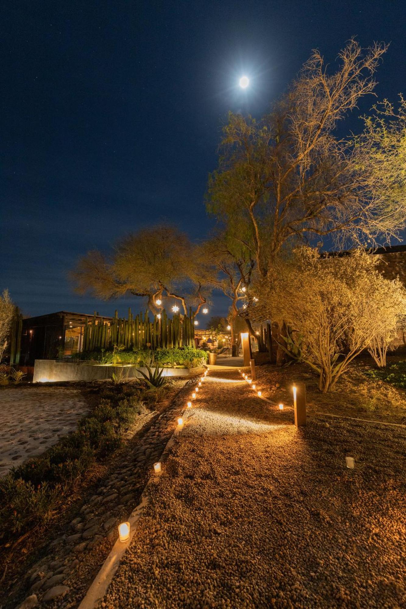 Our Habitas San Miguel De Allende Exterior photo